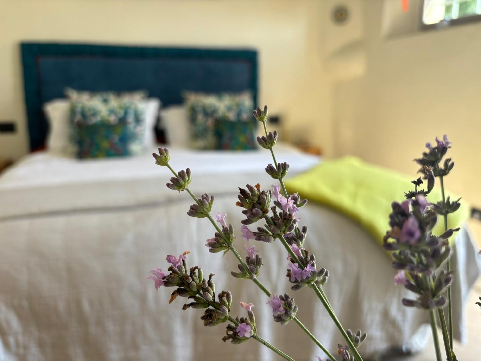 Bed and Breakfast La Fuga Баньи-ди-Лукка Экстерьер фото